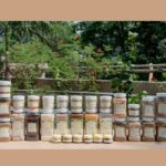 The Jaapa Collective